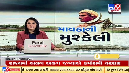 Bhavnagar witnessing unseasonal rainfall; Groundnut, onions kept at market yard damaged _ TV9News