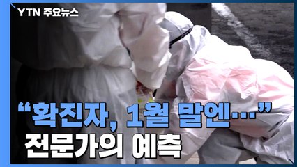 "현 방역체제 유지 시 1월 말 확진자 수는..." 전문가의 예측 / YTN