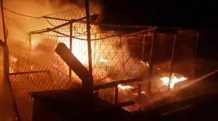 Ankara’da hayvan barınağında korkutan yangın