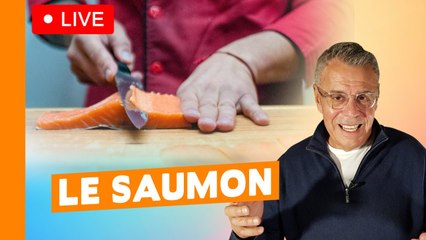 Live du 28 Novembre 2021 - Le saumon (on prépare les fêtes !)