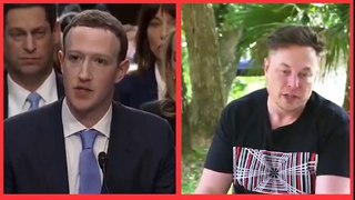 online war between Elon Musk & Mark Zuckerberg | spacex destroyed facebook's satellite