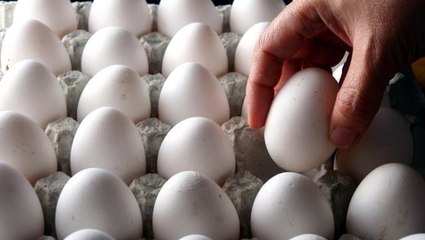 30'lu yumurtanın fiyatı 45 liraya yükseldi! Üreticiler zammın nedenini artan maliyetlere bağlıyor