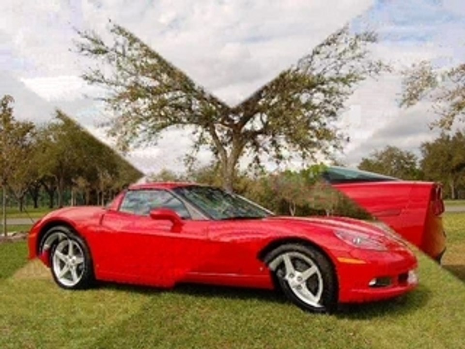 Crazy Cars! Beware!!