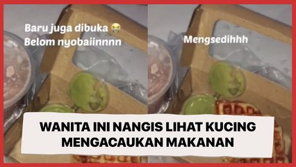 Ditonton 13 Juta Kali, Wanita Ini Nangis Lihat Kucing Mengacaukan Makanan yang Baru Dibuka