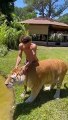 Funny Animal Videos, funniest animals ever relax with cute animals