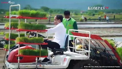 Presiden Jokowi Sebut Jumlah Petani di Indonesia Semakin Berkurang