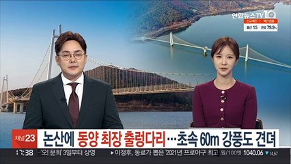 논산 탑정호에 동양 최장 출렁다리…초속 60m 강풍도 견뎌