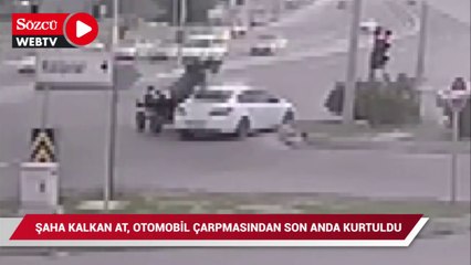 Şaha kalkan at, otomobil çarpmasından son anda kurtuldu