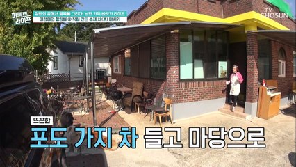 긍정왕! 이경애의 심신 안정과 노화 예방에도 좋은 힐링~ TV CHOSUN 20211201 방송