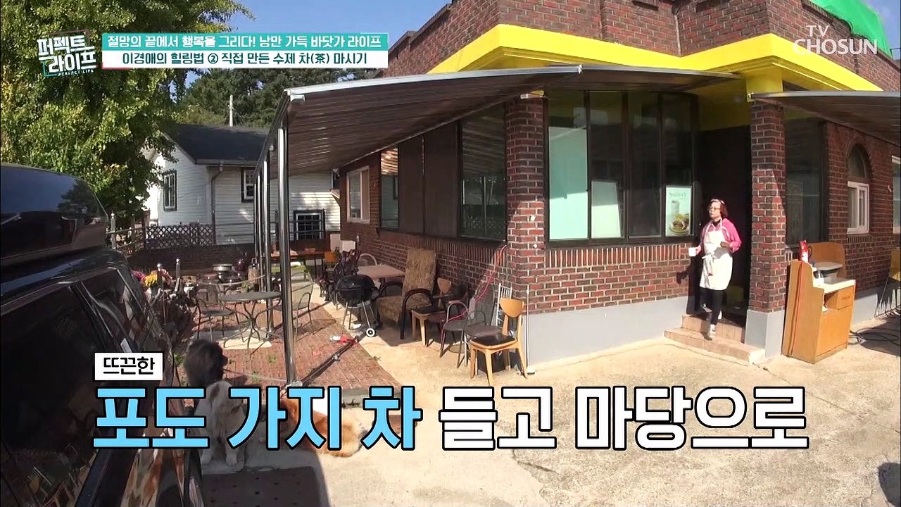 긍정왕! 이경애의 심신 안정과 노화 예방에도 좋은 힐링~ TV CHOSUN 20211...