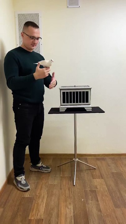 Magic Show || Magic tricks