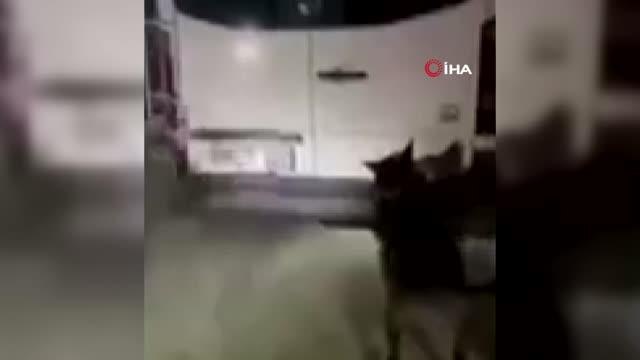 Son dakika... Erzincan'da uyuşturucu operasyonu: 56 kilo uyuşturucu ele geçirildi