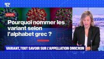 BFMTV répond à vos questions : Pourra-t-on voyager pour les fêtes ? - 01/12