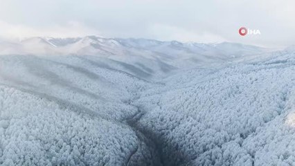 Bursa'nın yüksek kesimleri beyaza büründü