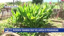 Ibu-ibu di Kediri Jadi Pendiri Taman Toga yang Dapat Hasilkan Tanaman Obat bagi Warga Sekitar!