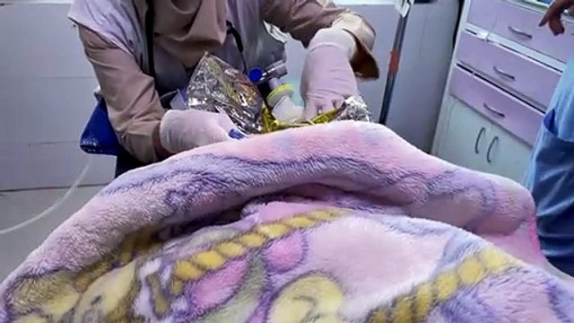 En Afghanistan, la faim conduit des bébés aux portes de la mort
