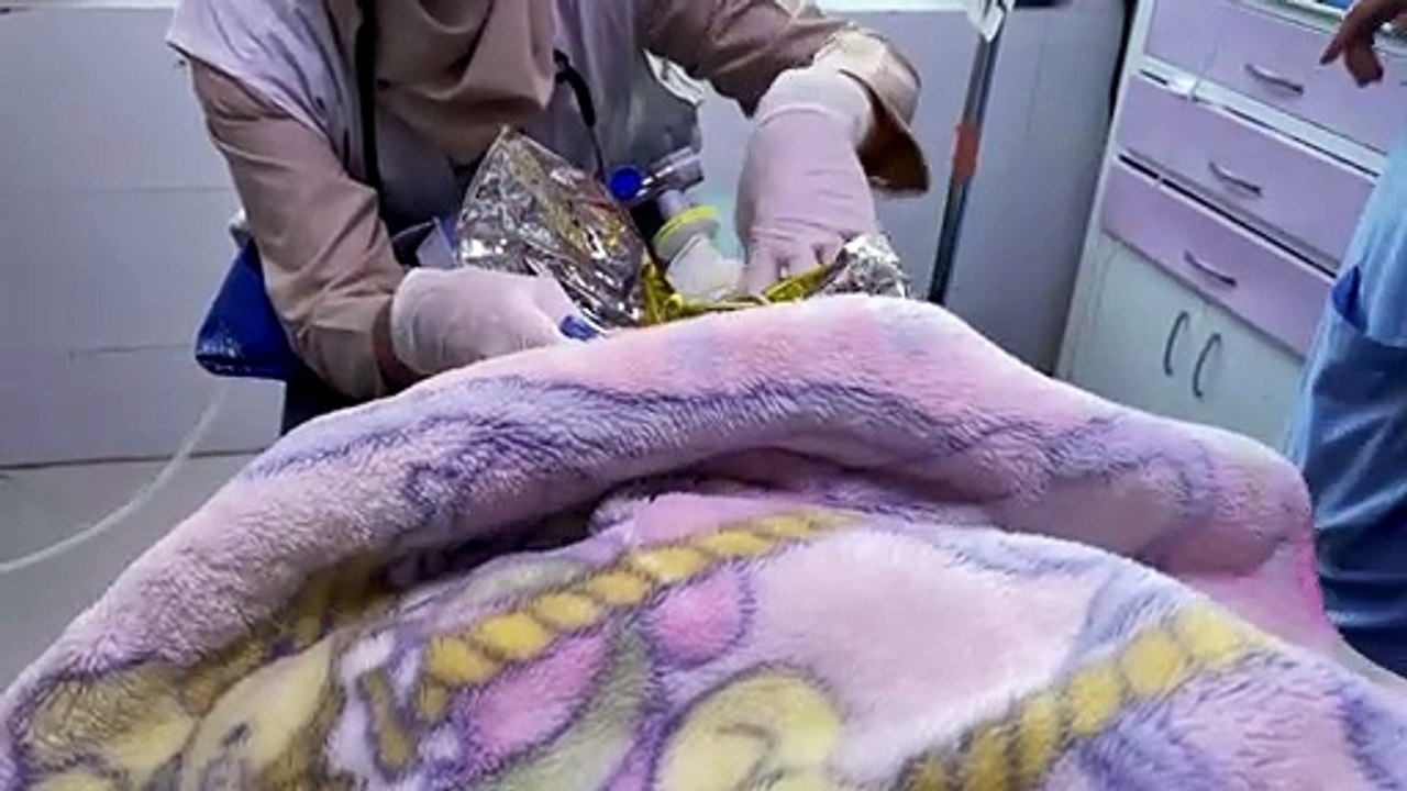 En Afghanistan, la faim conduit des bébés aux portes de la mort
