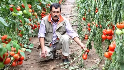 Su taşkınlarında 96 üreticinin arazisinde hasar tespiti yapıldı