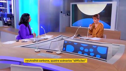 Écologie : quatre scénarios pour la neutralité carbone