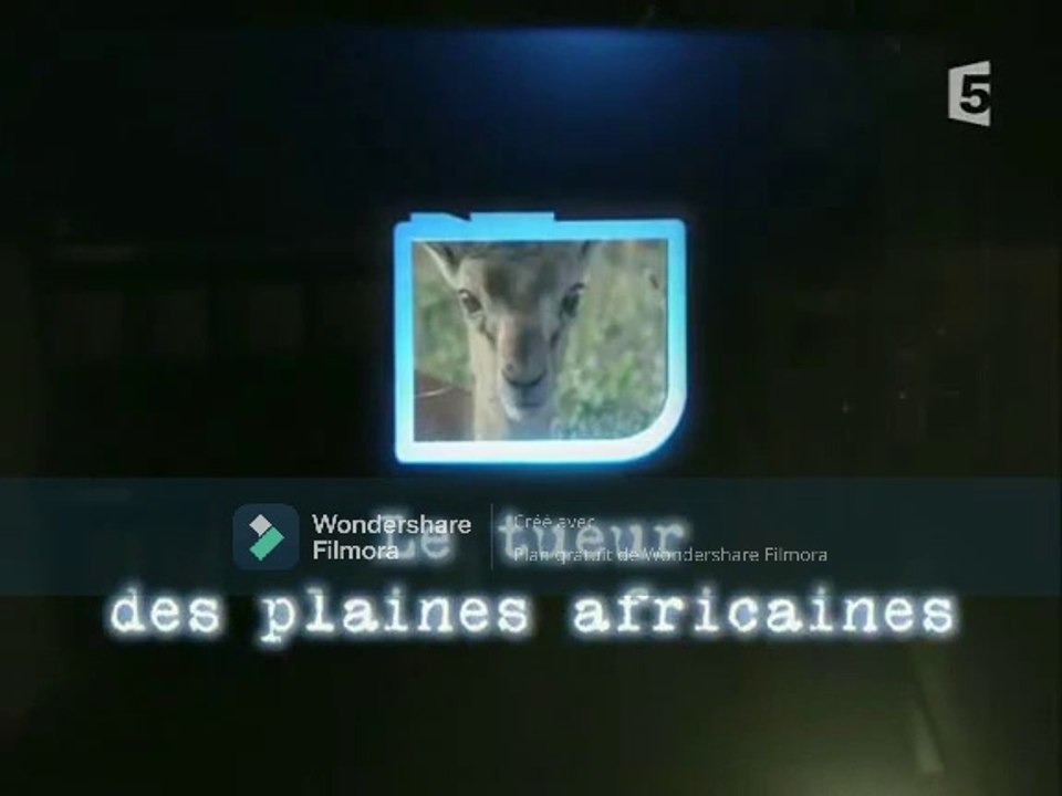 Le détectives de la nature - Le tueur des plaines africaines
