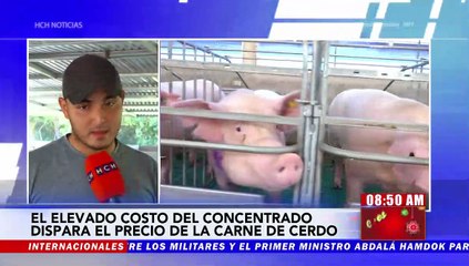 Por alta demanda y costo de concentrado, se dispara precio de la Carne de Cerdo en Comayagua
