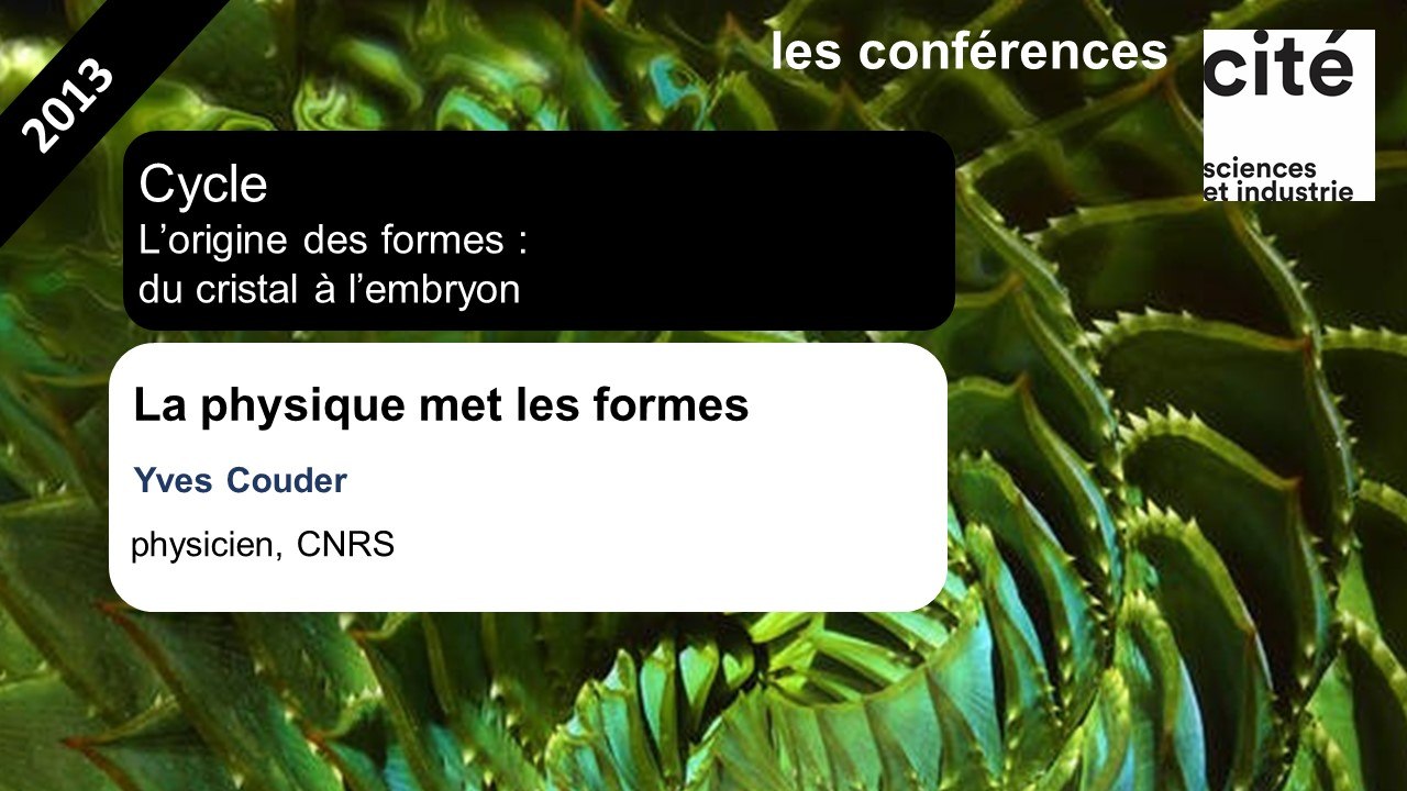 La physique met les formes