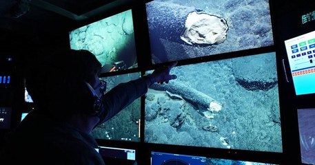 Océan Pacifique : une défense de mammouth a été retrouvée à 3000 mètres de profondeur en Californie