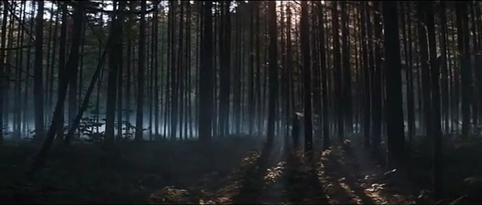 Bande-annonce de "Pig" avec Nicolas Cage