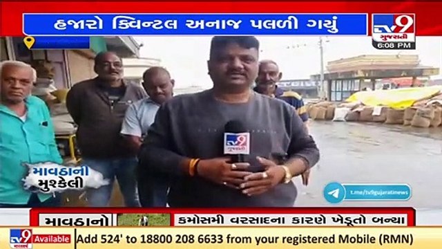 Unseasonal rain ruined grains kept in open in Dahod APMC, traders face huge loss_ TV9News