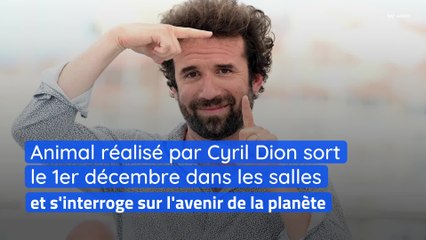 Animal réalisé par Cyril Dion sort le 1er décembre dans les salles