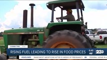 Rising agriculture fuel prices may lead to more  higher food costs