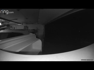 Bear Raids Garage Freezer