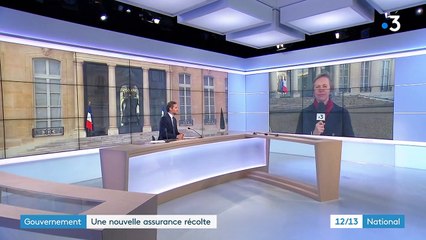 Agriculture : bientôt un nouveau système d'assurance récoltes ?