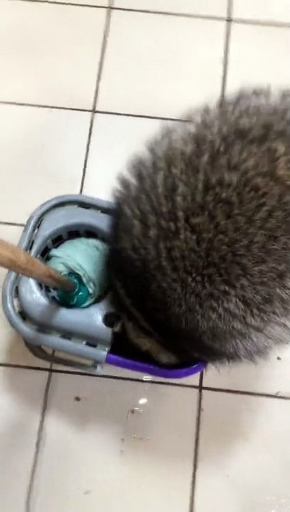 Леня японский летчик