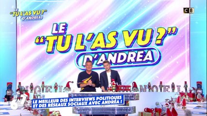 Le "Tu l'as vu ?" d'Andréa Bruche : les meilleures punchlines des politiques !