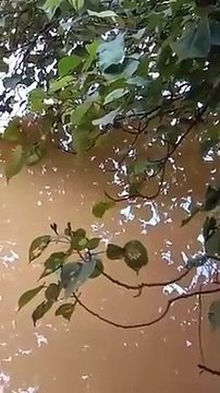 Ce qui se cache dans ces eaux est terrifiant... Attention les doigts