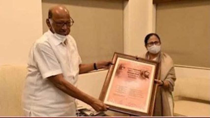 Mamata meets Pawar, takes swipe at Congress: Is Didi forming a new front?