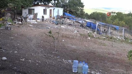 Tek hayali organik üretim ve hayvancılık yapmak