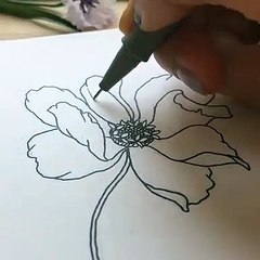 Watercolor & Sketch drawing.video.tutorials photos and videos