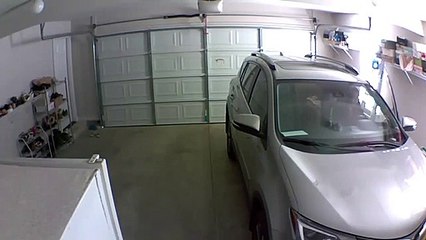 Car Backs into Garage Door Before It's Fully Open