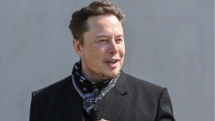 Tesla : Elon Musk lance un nouveau gadget inutile... déjà en rupture de stock