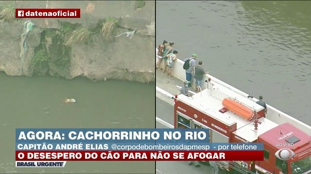 O Brasil Urgente mostrou um salvamento de um cachorrinho no rio Tamanduateí. O corpo de bombeiros atendeu a ocorrência. #BrasilUrgente