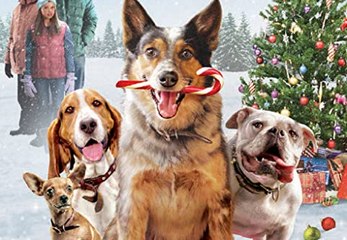 Pups Alone Movie