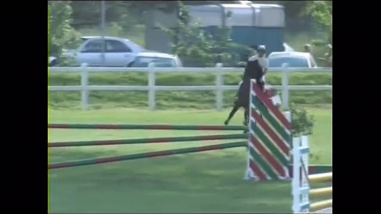 Mes chevaux et moi en concours