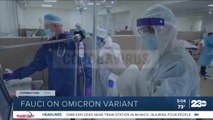 Dr. Anthony Fauci speaks on Omicron varian