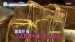 [HEALTHY] Live beans interfere with digestion?, 기분 좋은 날 211202