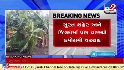 Major parts of Surat city experiences unseasonal rainfall for second consecutive day Gujarat_Tv9News