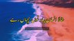 Sad Poetry Status 2021   Heart Touching Poetry  Sad Urdu Status  Sad Shayari In Punjabi