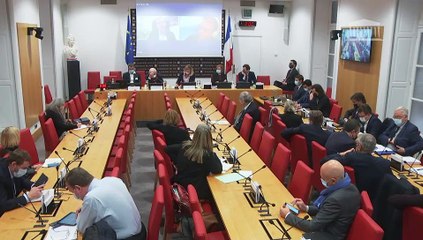 Commission des lois : Professeur Jean-François Delfraissy, président du conseil scientifique Covid-19 - Mercredi 1 décembre 2021