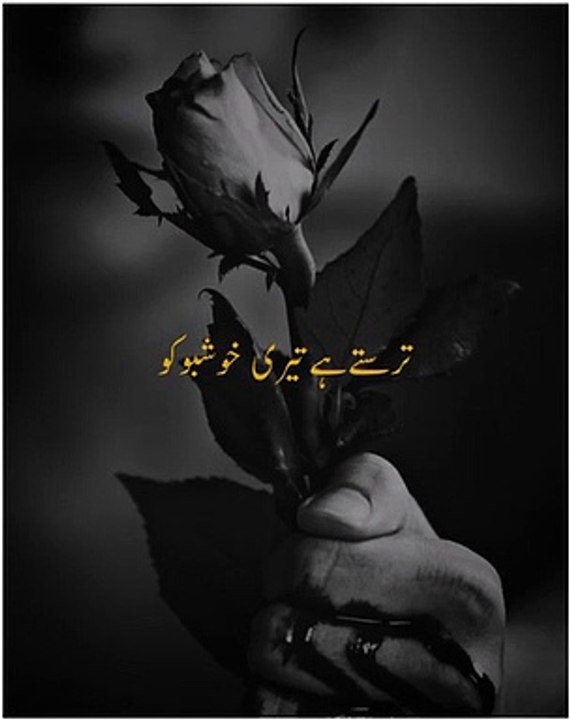urdu poetry2 lines poetryWhatsapp status urd poetry statuspoetry status